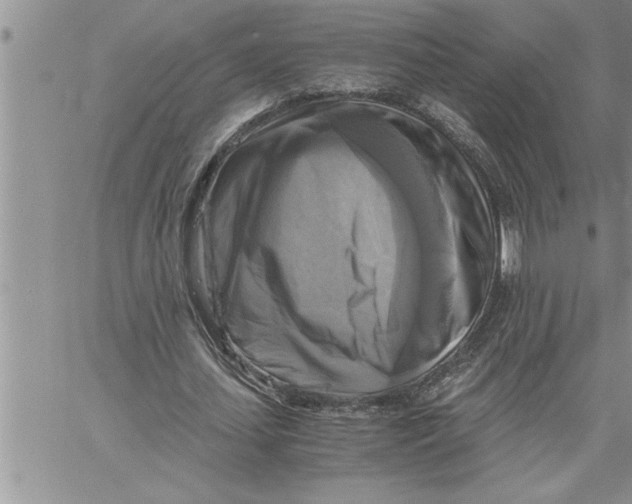 X0000060570627200511241317
