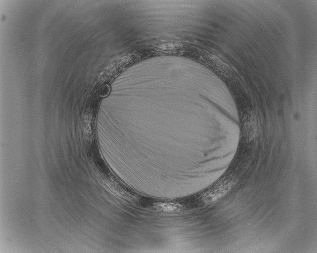 X0000060570654200511241317