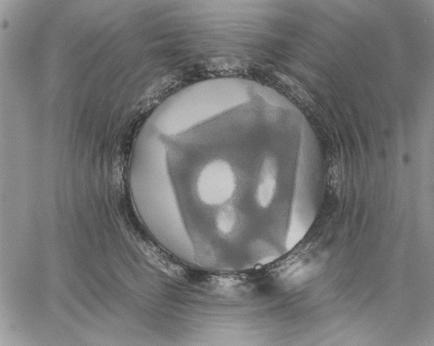 X0000060570662200511241317