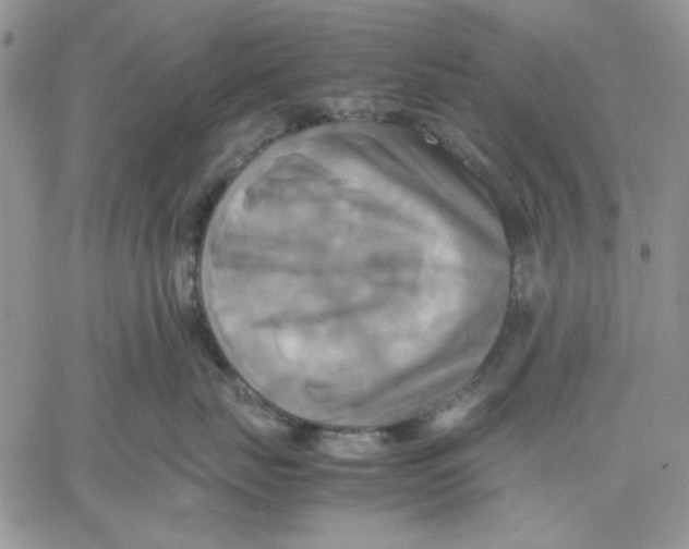 X0000060570671200511241317