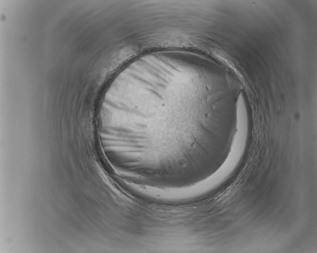 X0000060570677200511241317