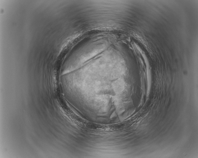 X0000060570688200511241316