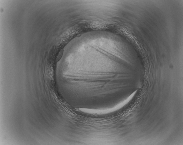 X0000060570689200511241316