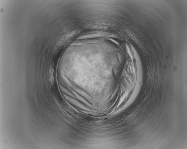 X0000060570692200511241316