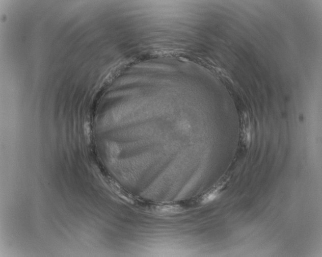 X0000060570716200511241316
