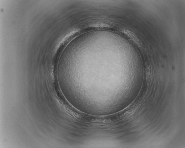 X0000060570727200511241315
