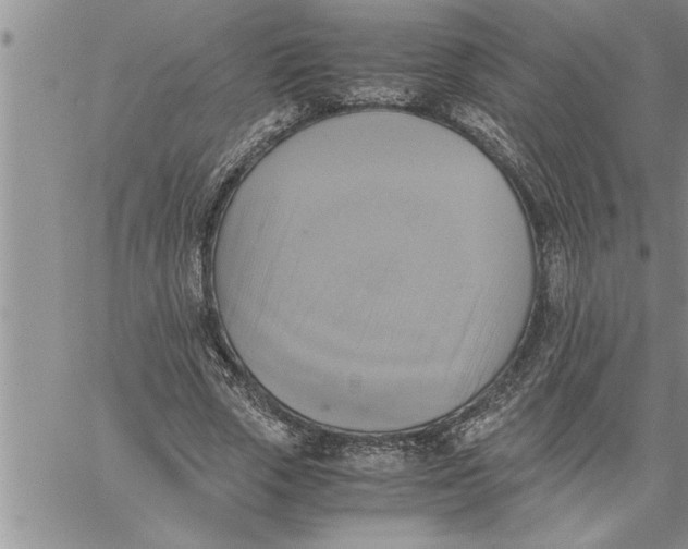 X0000060570729200511241315