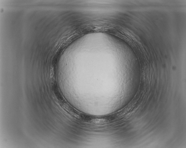 X0000060570748200511241316