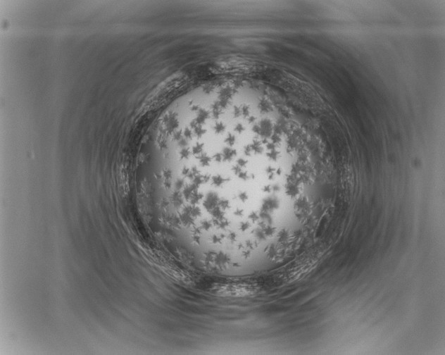 X0000060570751200511241316