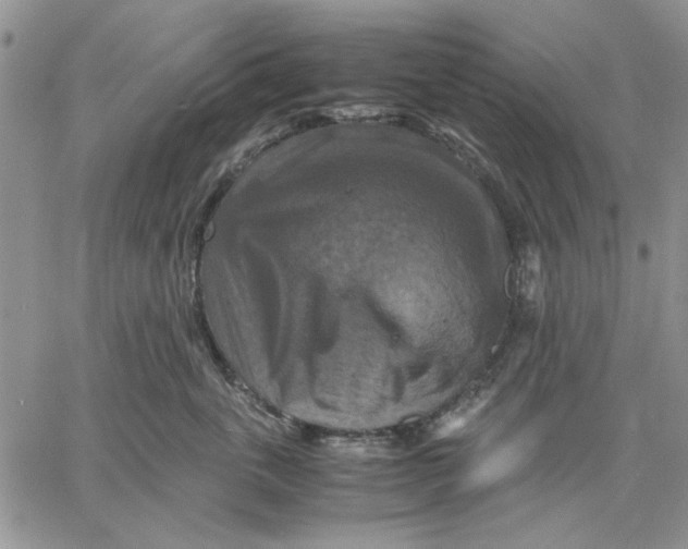 X0000060570763200511241316
