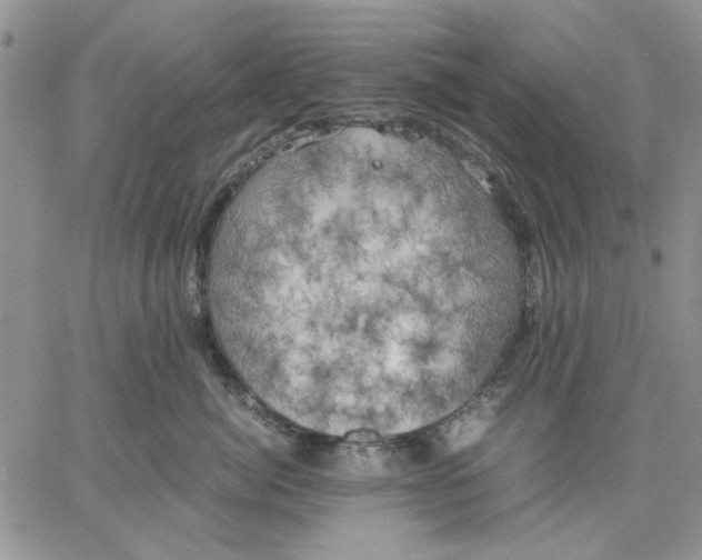 X0000060570764200511241316