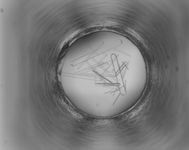 X0000060570826200511241314