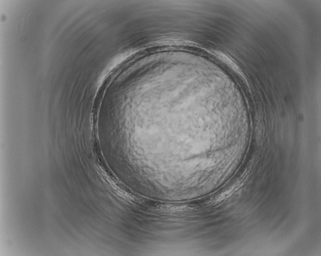 X0000060570831200511241314