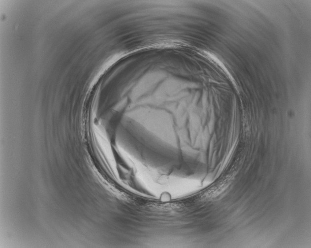 X0000060570851200511241314