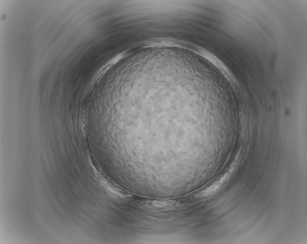 X0000060570857200511241314