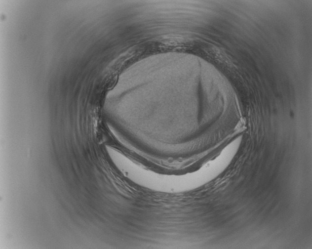 X0000060570868200511241313