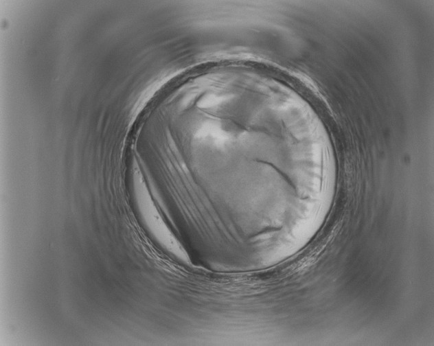 X0000060570879200511241313