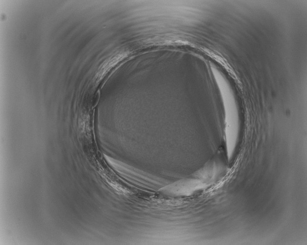 X0000060570881200511241313