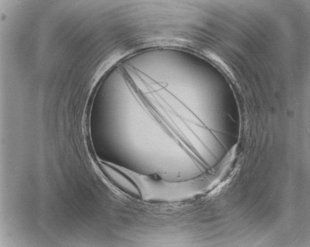 X0000060570893200511241313