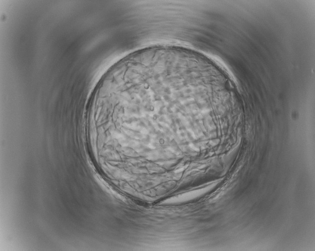 X0000060570903200511241313