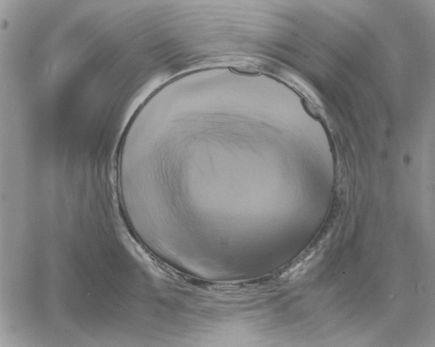 X0000060570907200511241313