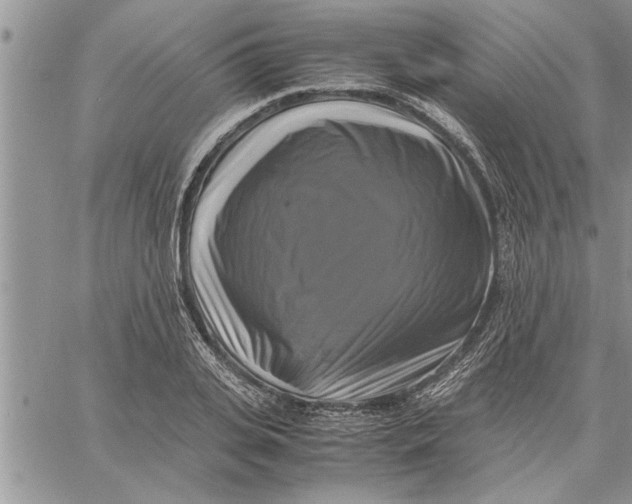 X0000060570935200511241312