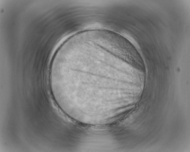 X0000060571008200511241311