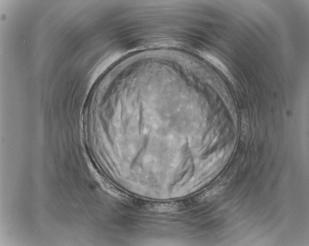 X0000060571047200511241311