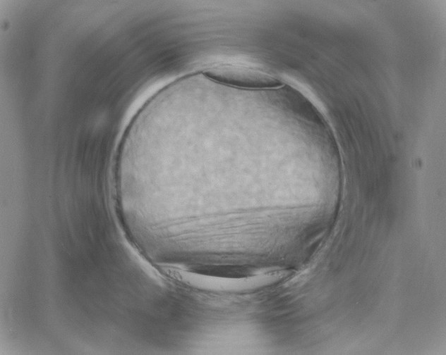 X0000060571056200511241311