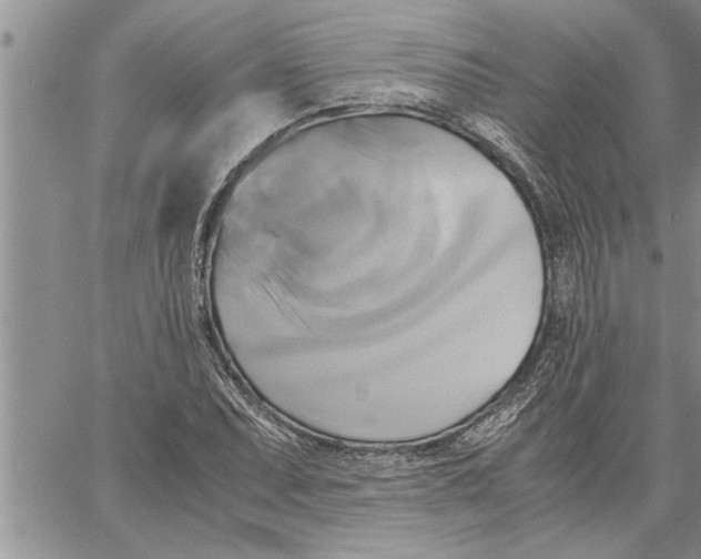 X0000060571071200511241310