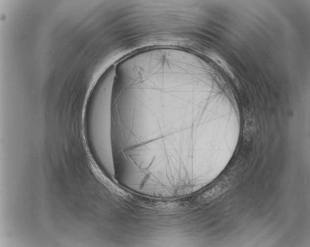 X0000060571080200511241310