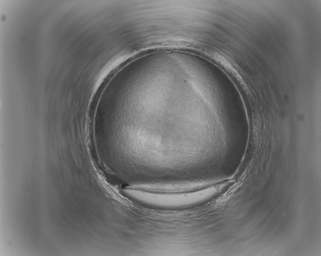 X0000060571085200511241310