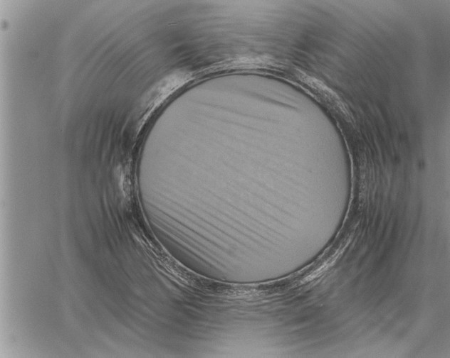 X0000060571170200511241309
