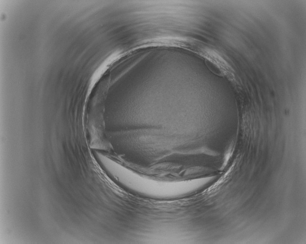 X0000060571180200511241308