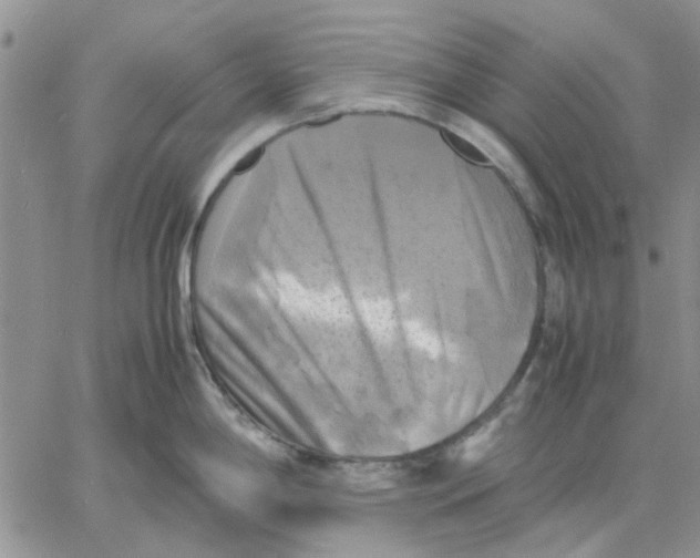 X0000060571198200511241308