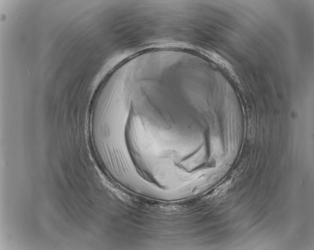 X0000060571231200511241308