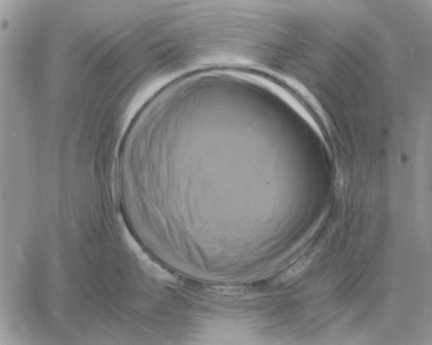 X0000060571295200511241306