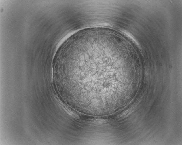 X0000060571324200511241306