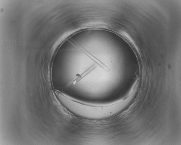 X0000060571336200511241306