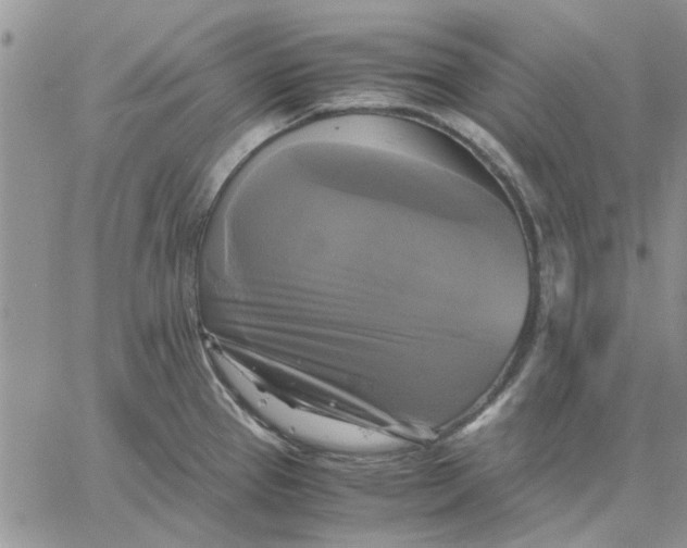 X0000060571337200511241306