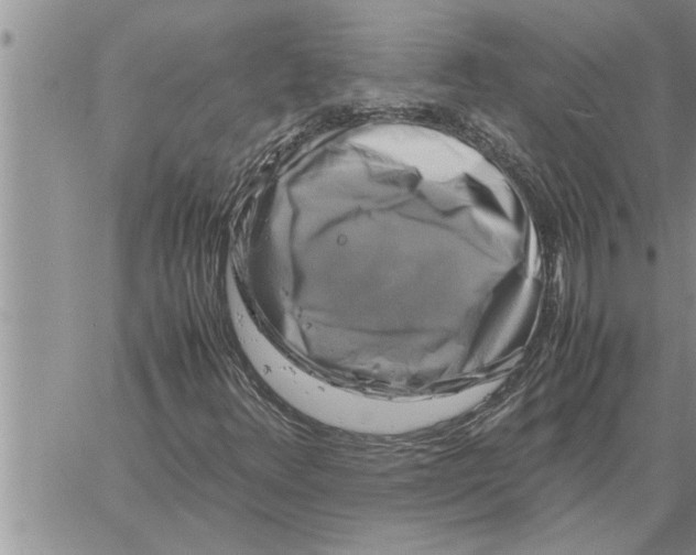 X0000060571348200511241306