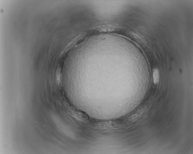 X0000060571444200511241304