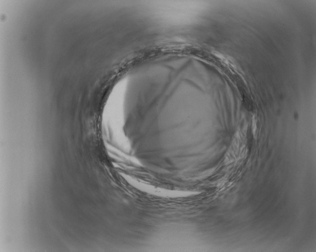 X0000060571445200511241304