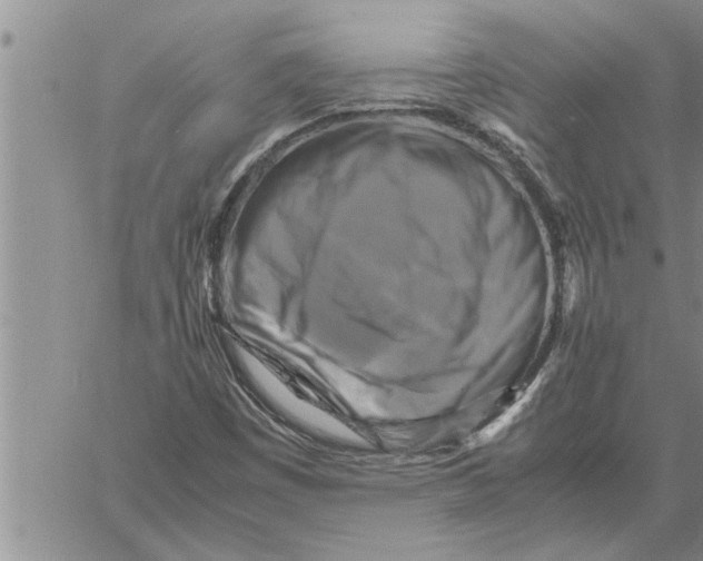 X0000060571449200511241304