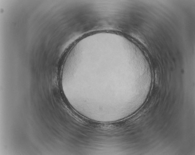 X0000060571452200511241304