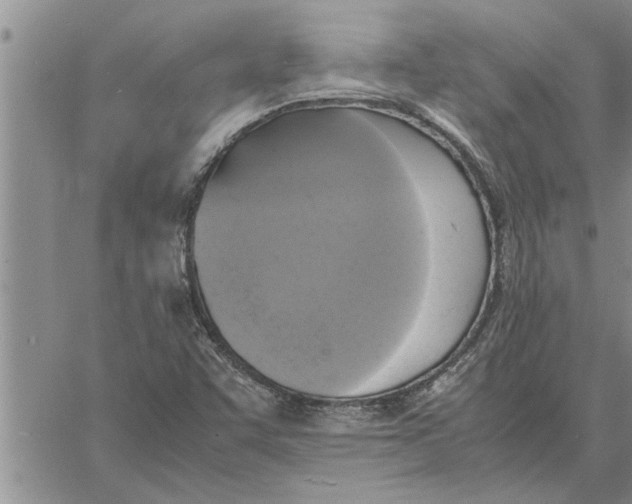 X0000060571455200511241304