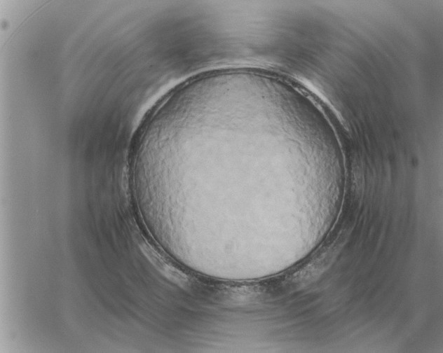 X0000060571460200511241304