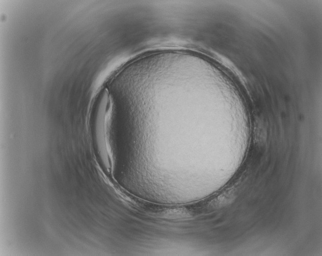 X0000060571464200511241304