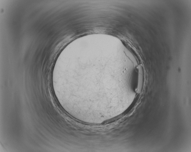 X0000060570001200512011719