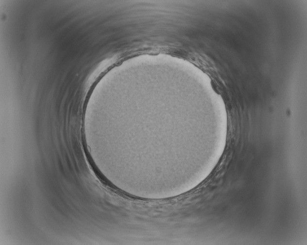 X0000060570003200512011719